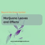 Common marijiuana leave Effects